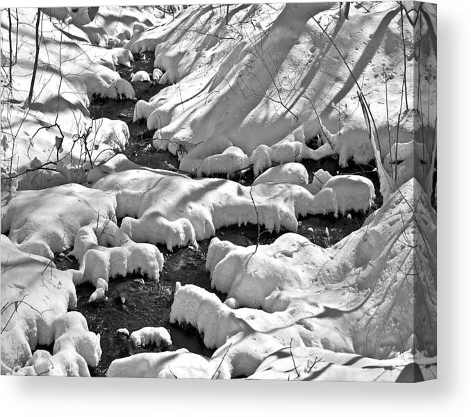 Water Scenes Canvas Print featuring the photograph Frozen Over Win 76 by Gordon Sarti