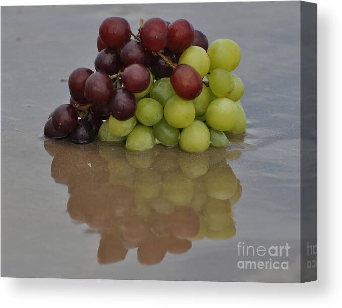 Fruit Photography Canvas Print featuring the photograph Fruitscapes Grapes by Josephine Cohn