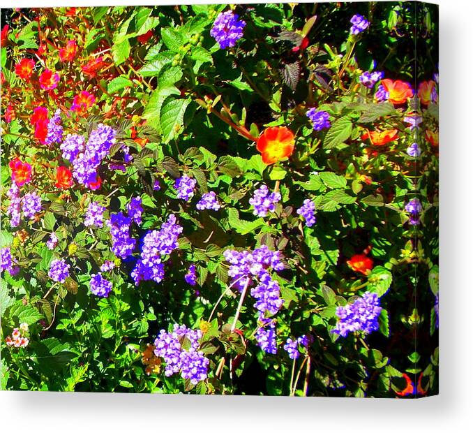 Floral Canvas Print featuring the photograph Garden Bouquet by Pamela Hyde Wilson