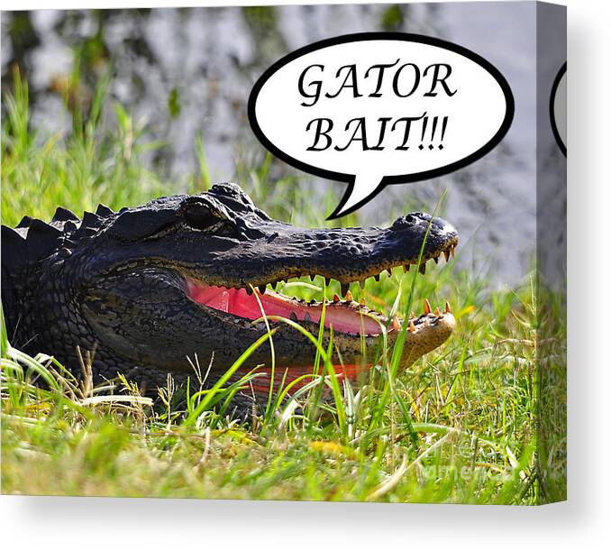 Gator Bait Canvas Print featuring the photograph GATOR BAIT Greeting Card by Al Powell Photography USA