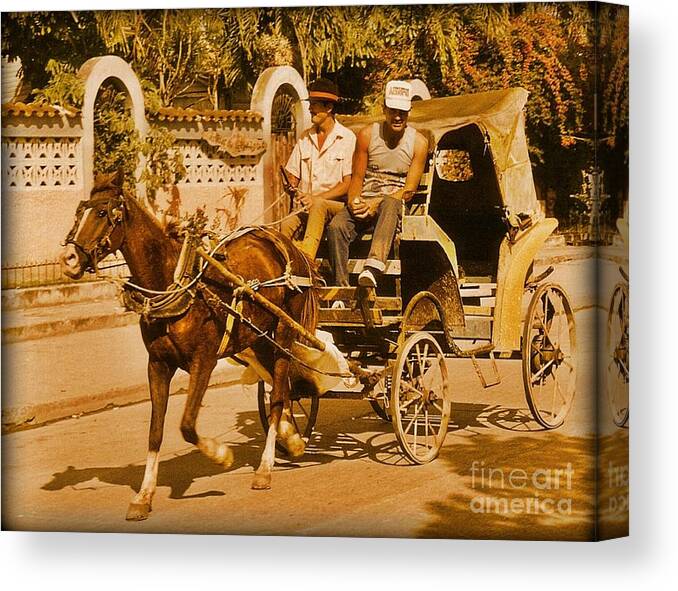 Horses Canvas Print featuring the photograph Gee Haw by John Malone