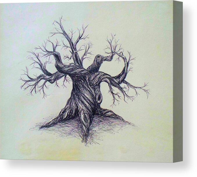 Gnarled Tree Pen Ink Paper Austin Texas Canvas Print featuring the drawing Gnarled Tree by Troy Caperton