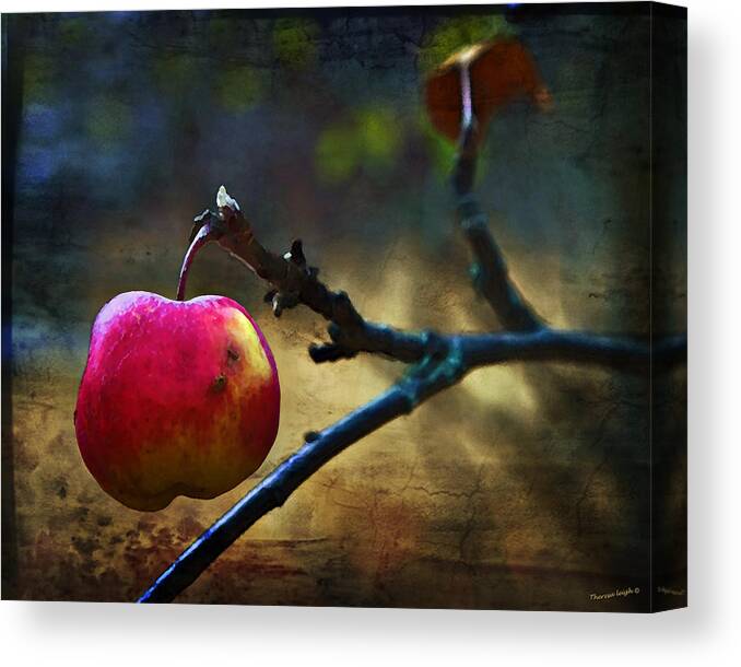 Apple Canvas Print featuring the photograph Go On Dearie Take A Bite by Theresa Tahara