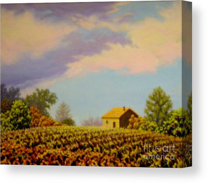 Vineyard Canvas Print featuring the painting Golden Hills by Carl Downey