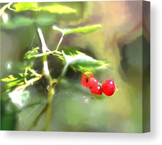 Artistic Canvas Print featuring the photograph Goosberry IMP by Leif Sohlman