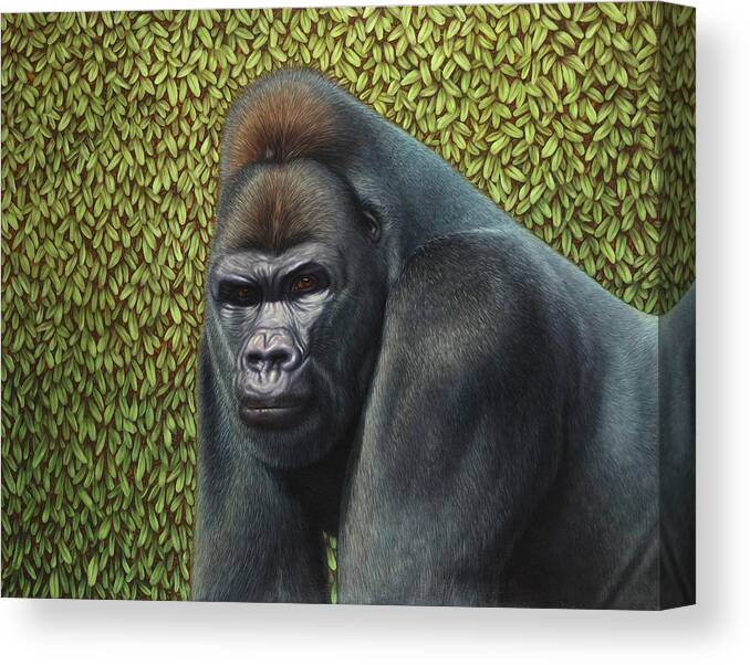Gorilla Canvas Print featuring the painting Gorilla with a Hedge by James W Johnson