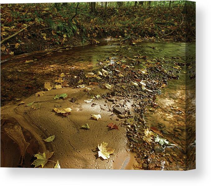 Pinney Bridge State Game Area Canvas Print featuring the photograph Gravel Bed by Gary O'Boyle