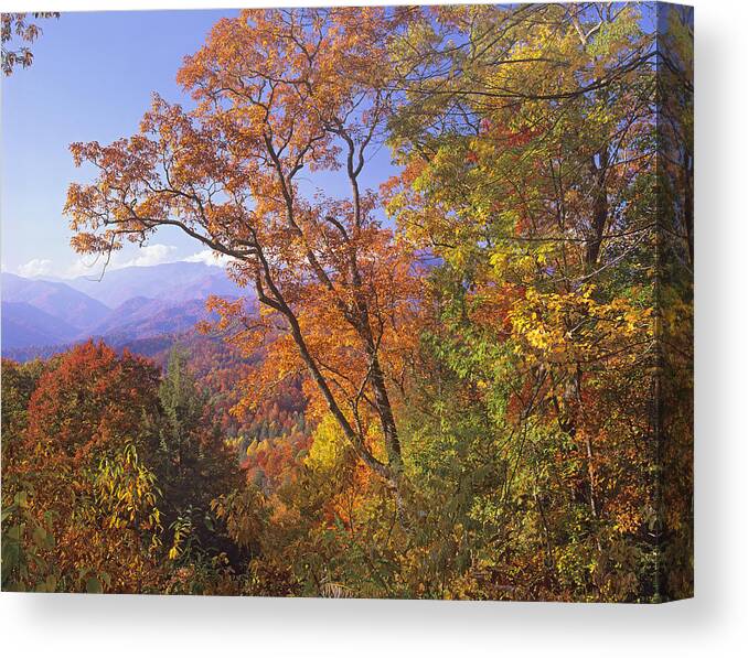 00175801 Canvas Print featuring the photograph Great Smoky Mts from Blue Ridge Pkwy by Tim Fitzharris