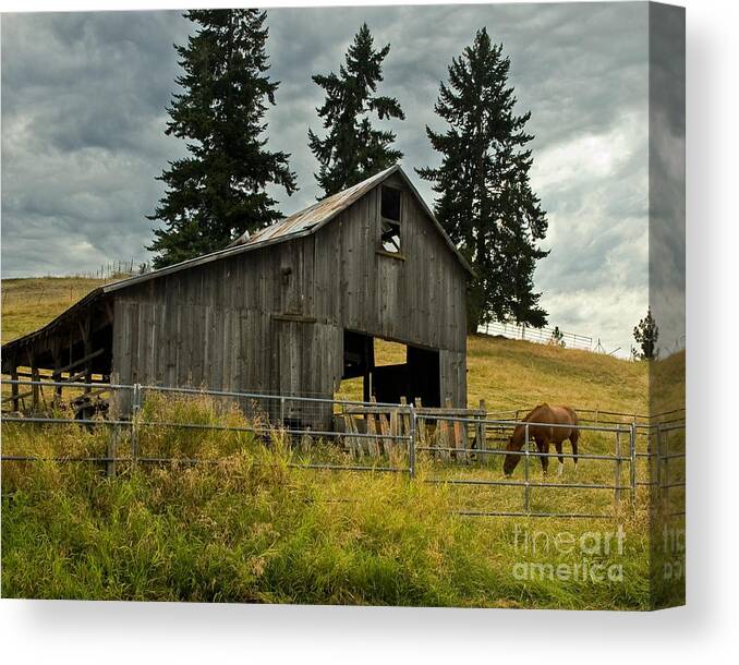 Horse Canvas Print featuring the photograph Green Bluff Horsebarn by Chuck Flewelling