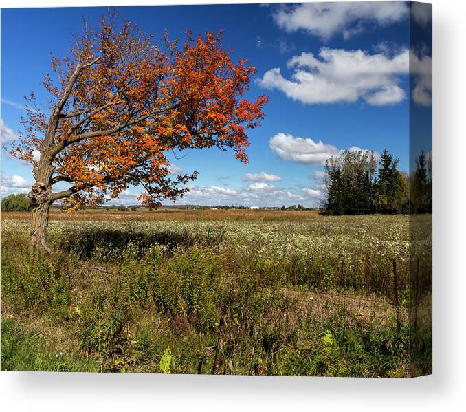 Tranquility Canvas Print featuring the photograph Happy Thanksgiving by Lisa Stokes