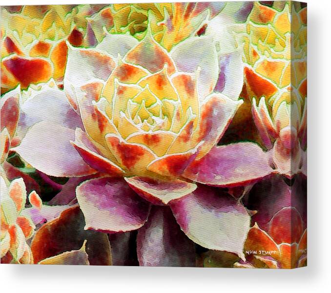 Hens And Chicks Photography Canvas Print featuring the painting Hens and Chicks Series - Early Morning Quite by Moon Stumpp