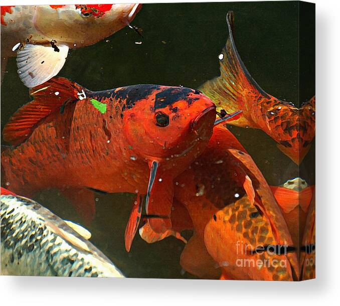 Diane Berry Canvas Print featuring the painting Here Fishy Fishy by Diane E Berry