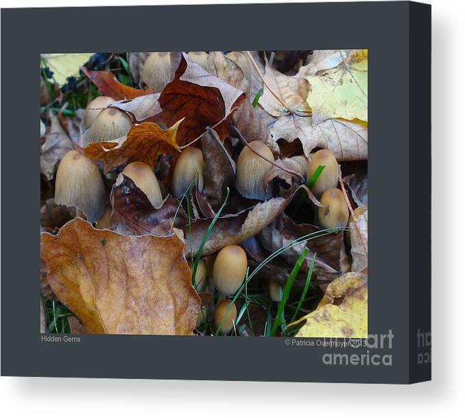 Mushroom Canvas Print featuring the photograph Hidden Gems by Patricia Overmoyer