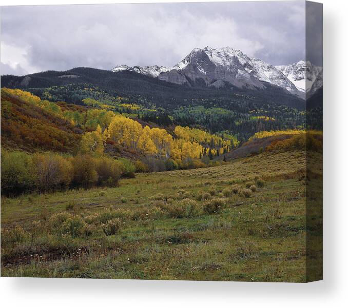 Landscape Canvas Print featuring the photograph High Country Autumn by Paul Breitkreuz