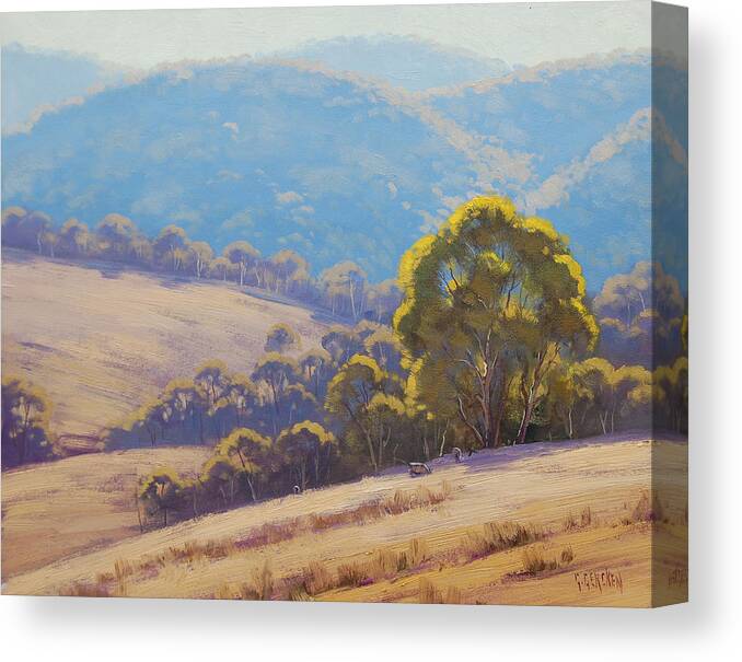 Rural Canvas Print featuring the painting Highland grazing Lithgow by Graham Gercken