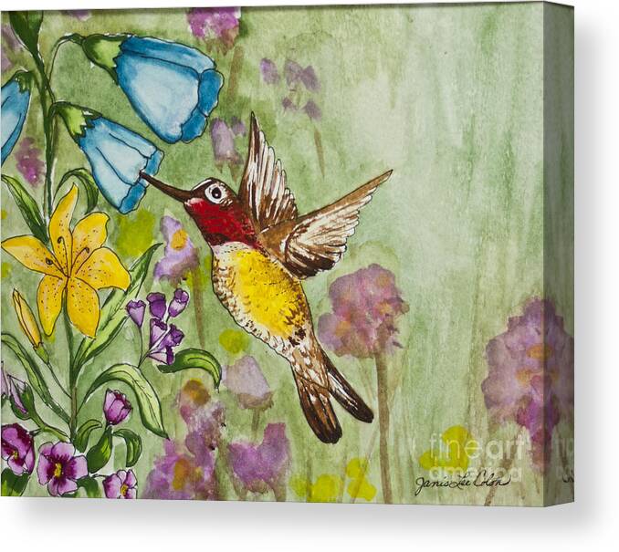 Humming Bird Canvas Print featuring the painting Humming Bird by Janis Lee Colon