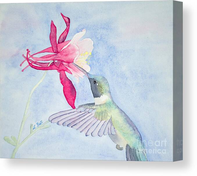 Ruby-throated Canvas Print featuring the painting Hummingbird and Columbine by Laurel Best