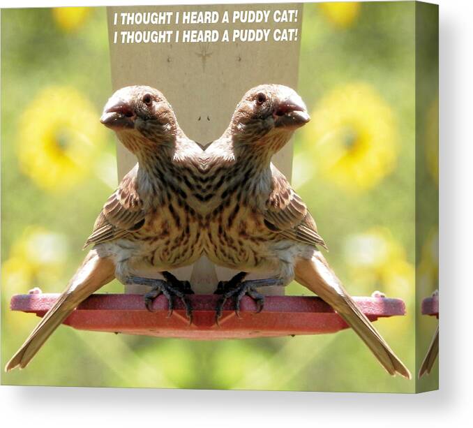 Double Art Effect Baby Brown Canvas Print featuring the photograph I Thought I Heard a Puddy Cat by Belinda Lee