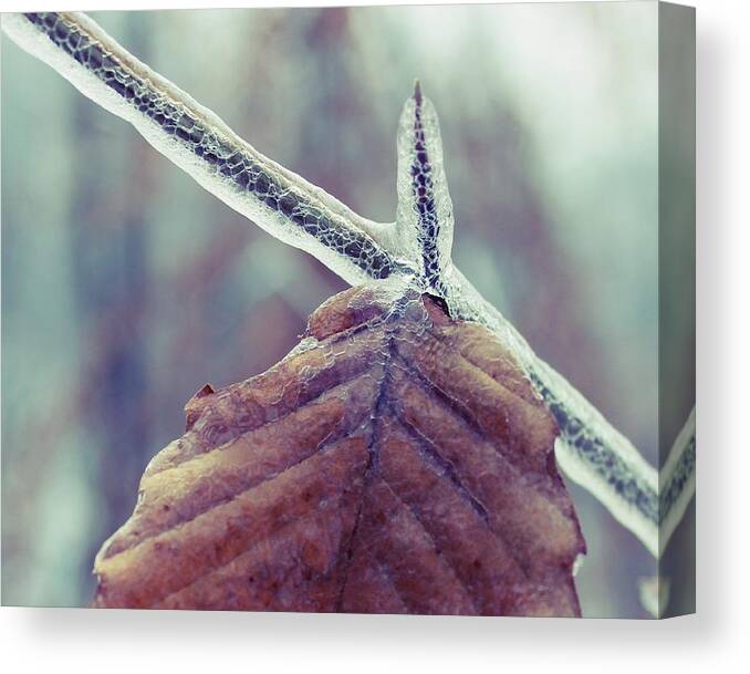 Ice Canvas Print featuring the photograph Ice Storm by Candice Trimble