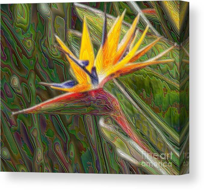Bird Of Paradise Canvas Print featuring the photograph In The Garden Of Enlightenment by Scott Evers