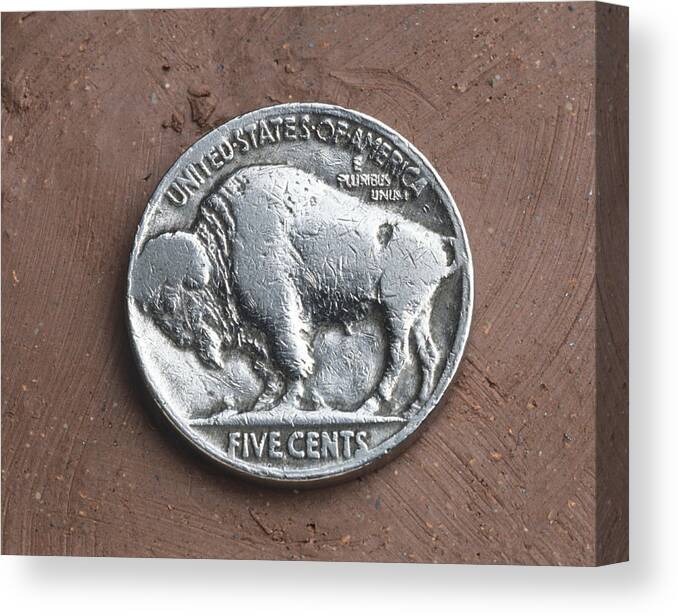 Indian Canvas Print featuring the photograph Indian Headbuffalo Nickel by Charles D. Winters