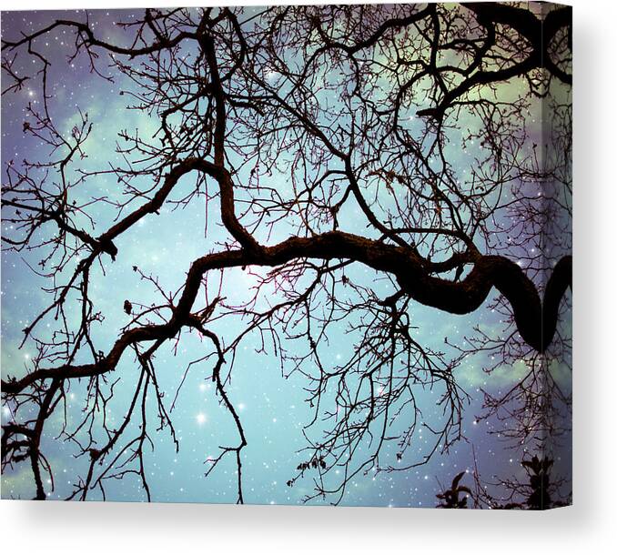Tree Photograph Canvas Print featuring the photograph Into the Blue by Lupen Grainne