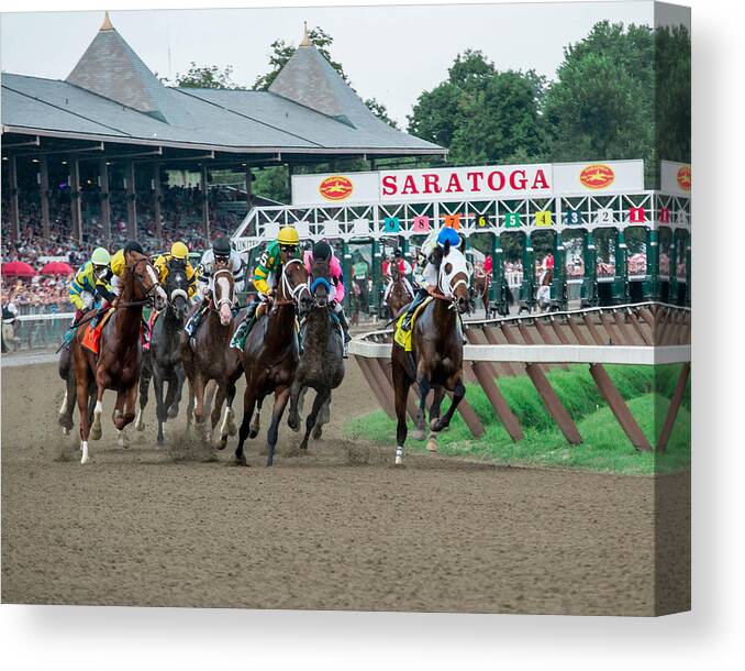 Horse Canvas Print featuring the photograph Jim Dandy Stakes by William Stephen