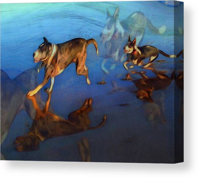 Ocean Canvas Print featuring the photograph Joy dancers by Suzy Norris