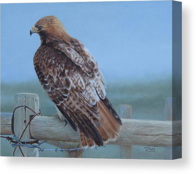 Landscape Canvas Print featuring the painting Kaiser's Hawk by Tammy Taylor
