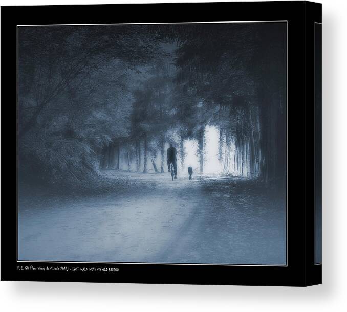 Animals Canvas Print featuring the photograph Last Walk With My Old Friend by Pedro L Gili