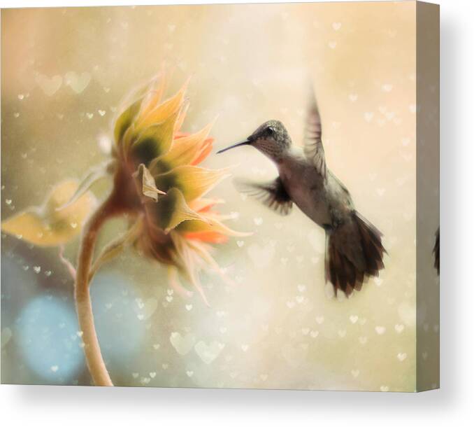Hummingbird Canvas Print featuring the photograph Like a Moth To a Flame by Amy Tyler