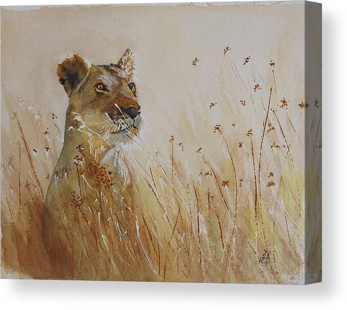 Lioness Canvas Print featuring the painting Lion in the Weeds by Maris Sherwood