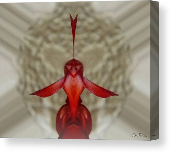 Abstract Canvas Print featuring the photograph Love Bird by Pete Trenholm