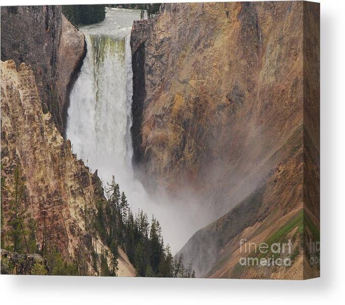 Yellowstone Canvas Print featuring the photograph Lower Falls - Yellowstone by Mary Carol Story