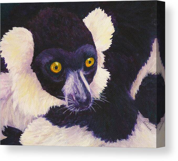 Black And White Ruffed Lemur Canvas Print featuring the painting Madagascan Magic by Margaret Saheed