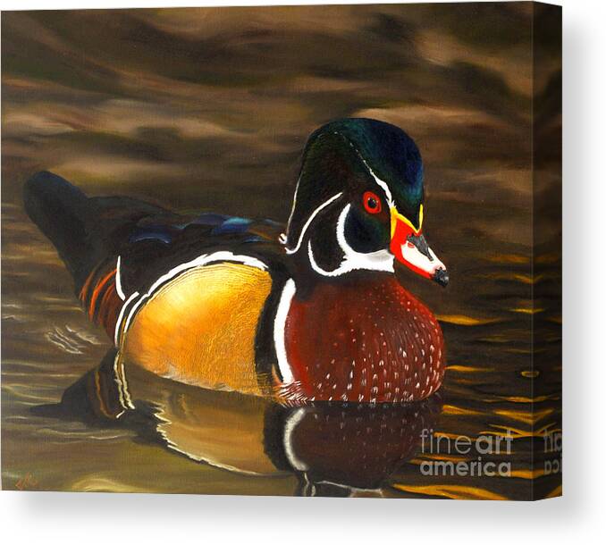 Duck Canvas Print featuring the painting Male Wood Duck Portrait by Jane Axman