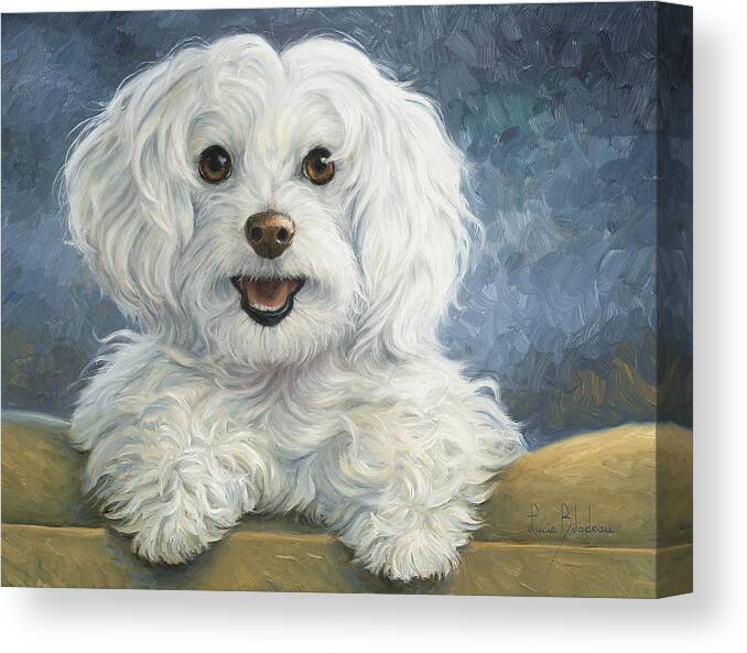 Dog Canvas Print featuring the painting Mimi by Lucie Bilodeau