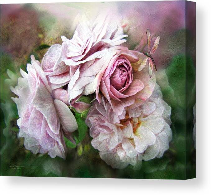 Rose Canvas Print featuring the mixed media Miracle Of A Rose - Mauve by Carol Cavalaris