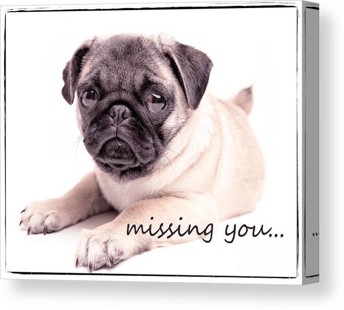 Sad Canvas Print featuring the photograph Missing You... by Edward Fielding