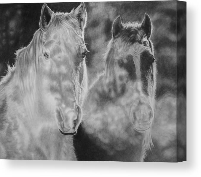 Horses Canvas Print featuring the drawing Mist by Glen Powell