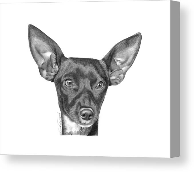Dog Canvas Print featuring the drawing Mocha -036 by Abbey Noelle