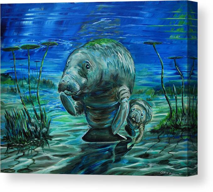 Manatee Canvas Print featuring the painting Momma manatee by Steve Ozment