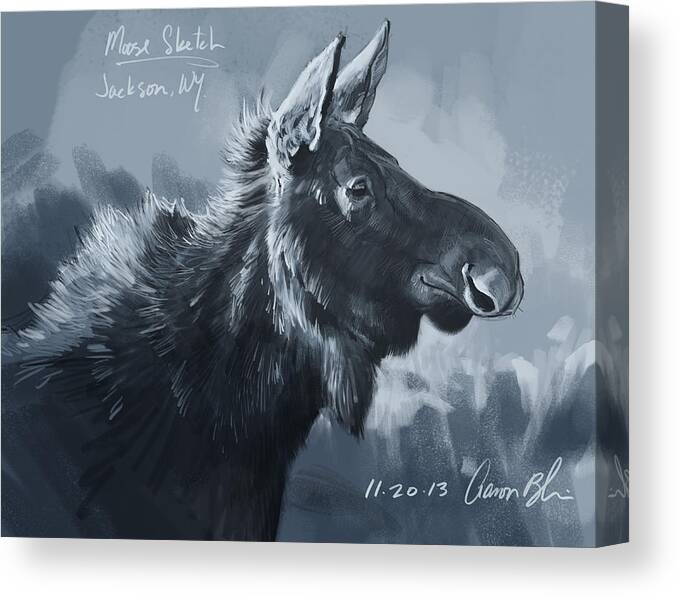 Moose Canvas Print featuring the digital art Moose Sketch by Aaron Blaise
