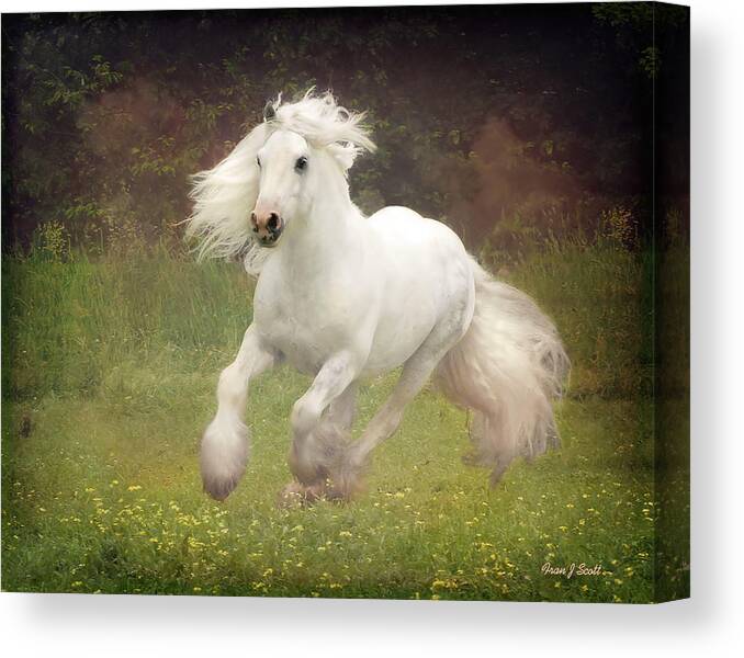 Horses Canvas Print featuring the photograph Morning Mist C by Fran J Scott