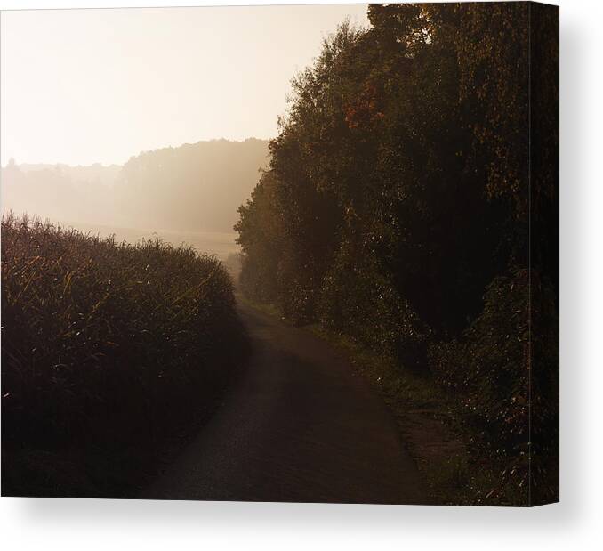 Miguel Canvas Print featuring the photograph Morning Sun by Miguel Winterpacht