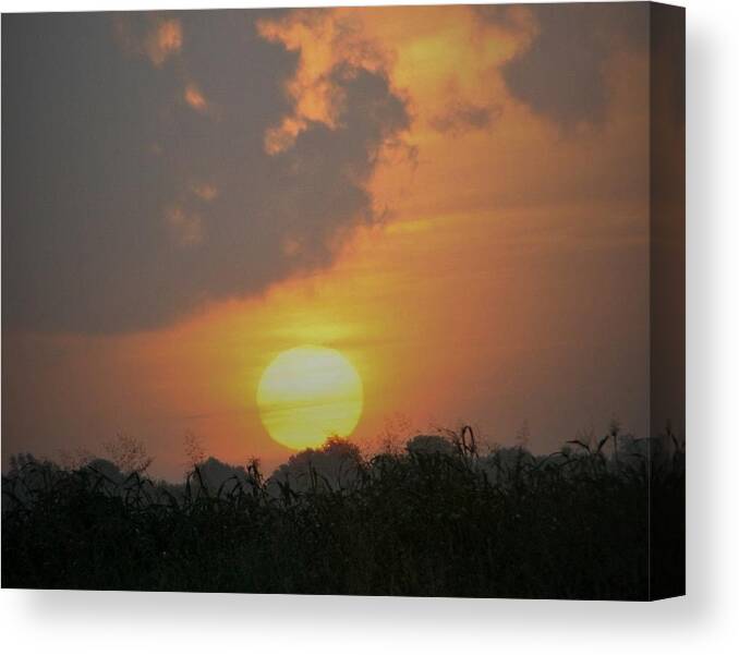 Southwest Louisiana Canvas Print featuring the photograph Mother Natures Expresso by John Glass
