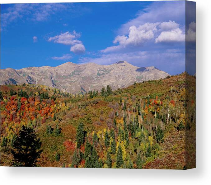 Altitude Canvas Print featuring the photograph Mount Nebo Scenic Byway by Howie Garber