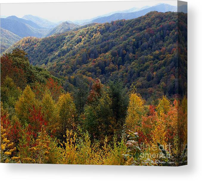 Mountains Canvas Print featuring the photograph Mountains Leaves by Susan Cliett