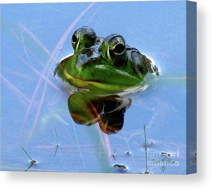 Frog Canvas Print featuring the photograph Mr. Frog by Donna Brown