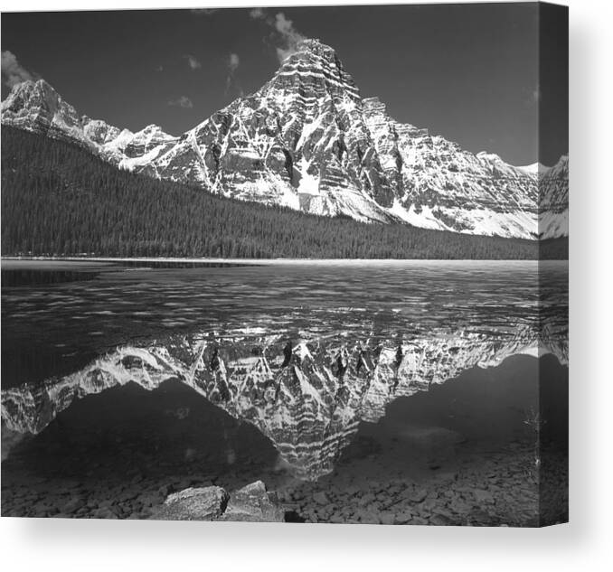 Mt. Chephren Canvas Print featuring the photograph 1M3641-BW-Mt. Chephren Reflect by Ed Cooper Photography